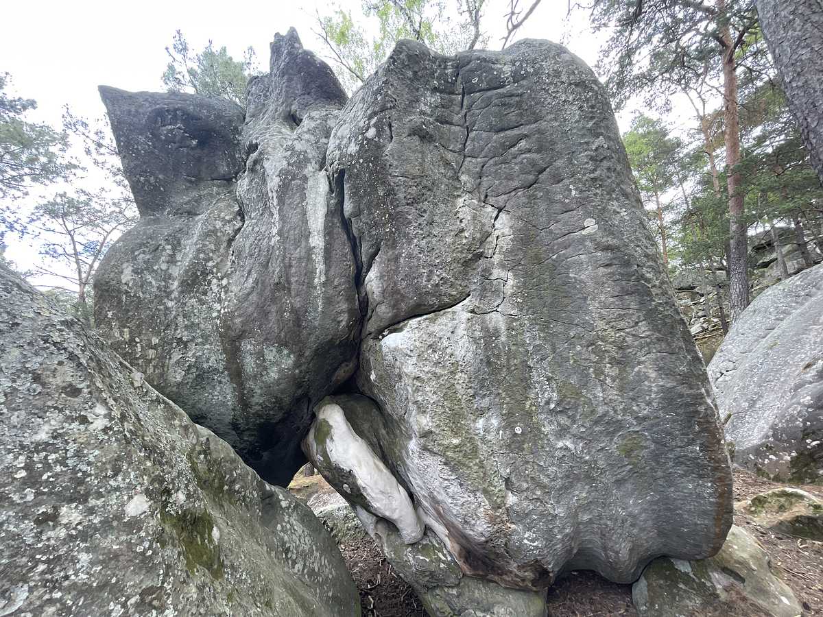 La Gouttière – Dame Jouanne