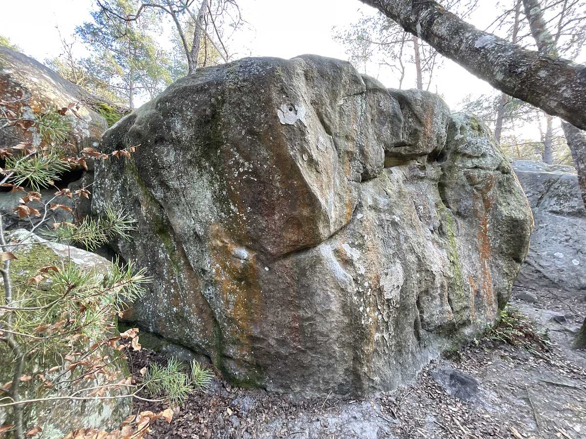 Dos d'Âne – Franchard Sablons