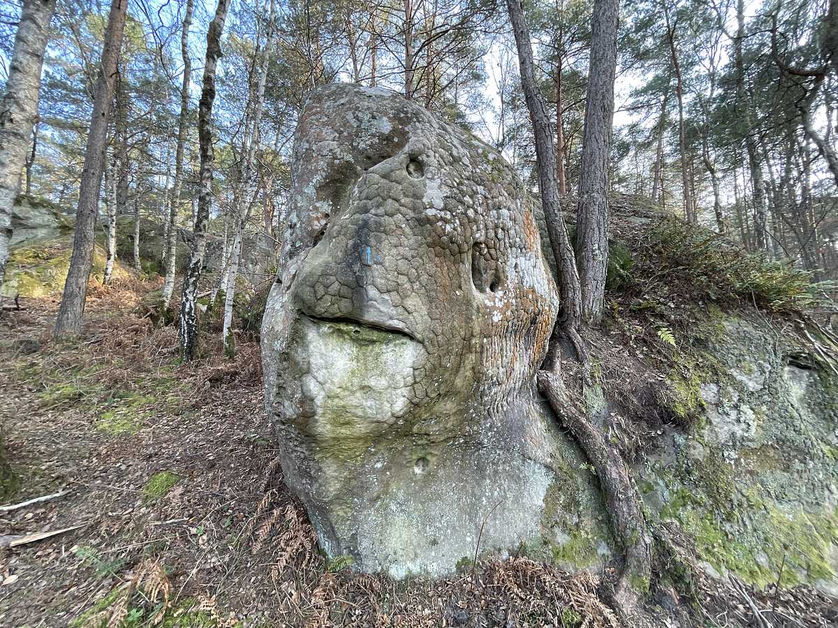 Le Bloc du Forestier – Franchard Sablons