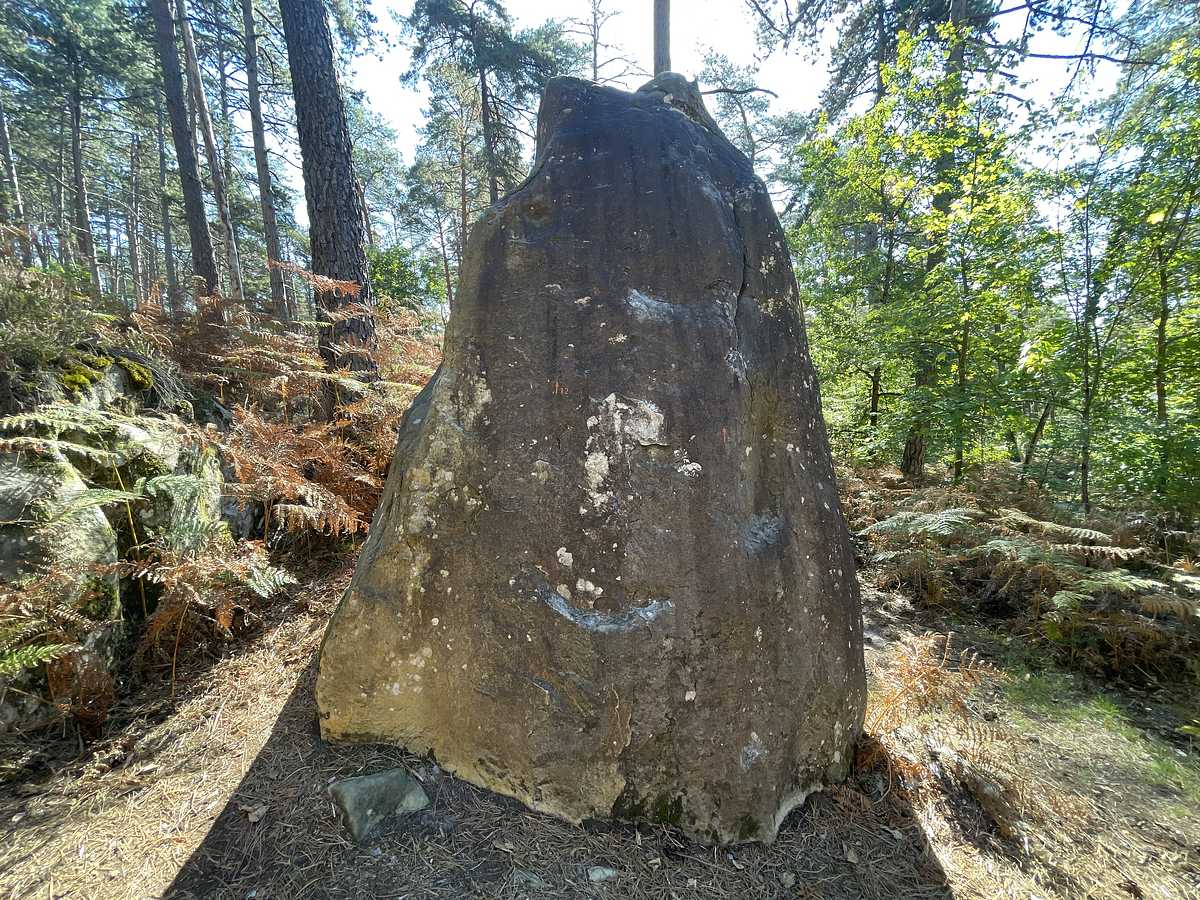 Le Petit Dru – Rocher d'Avon