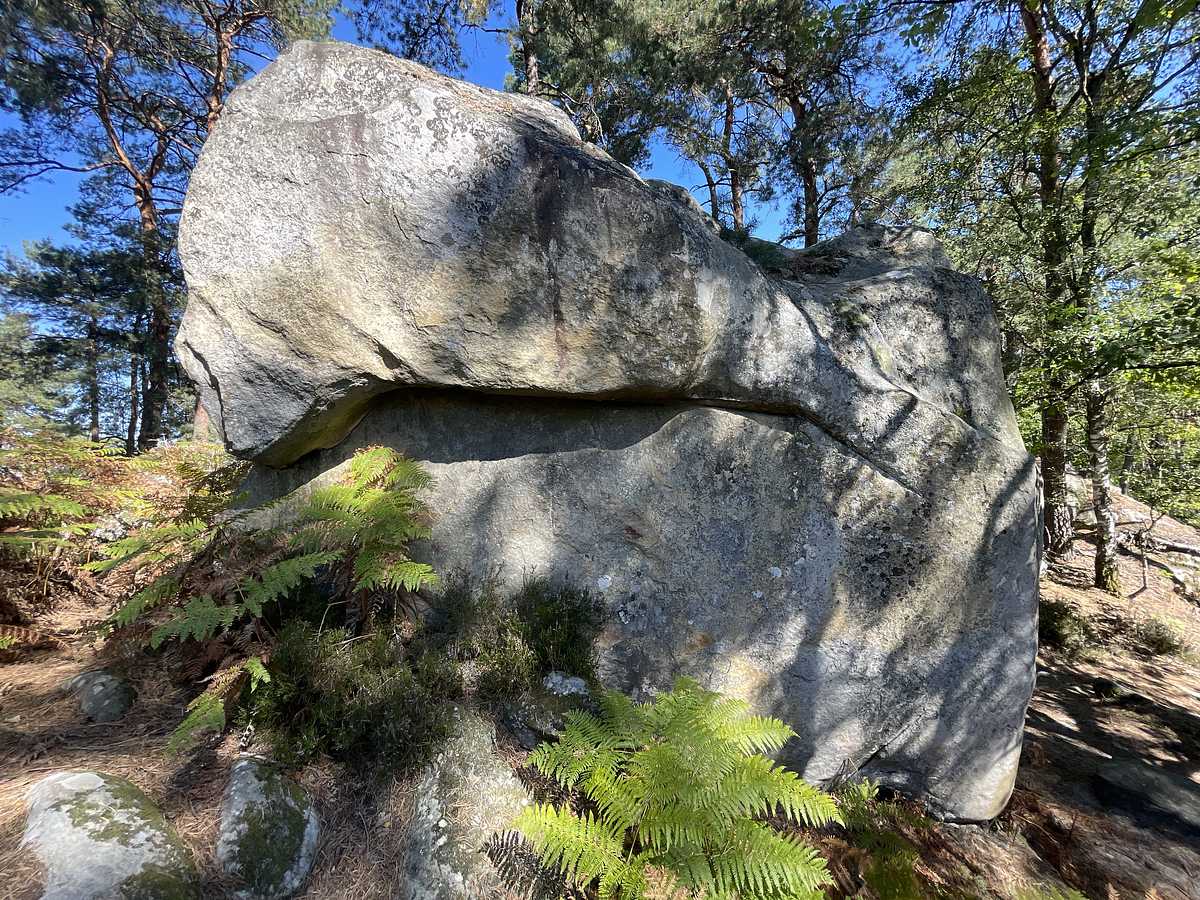 Le Sentier Jaune – Secteur Rocher d'Avon
