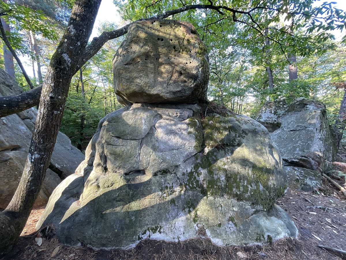 La Montagnette – Restant du Long Rocher Sud