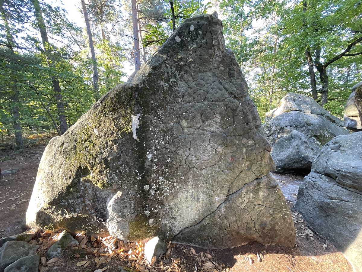 Cheval de Pagaille – Restant du Long Rocher Sud