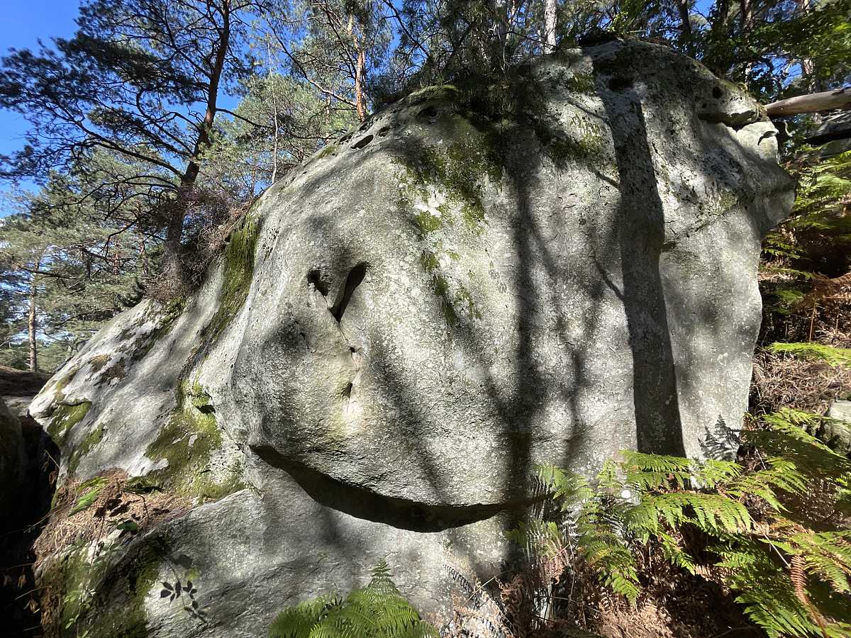 Sandrénalyne – Restant du Long Rocher