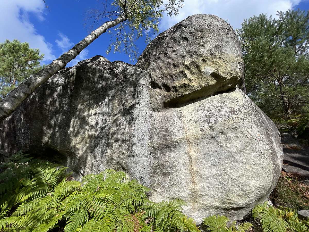 Photo du rocher avec les tracés