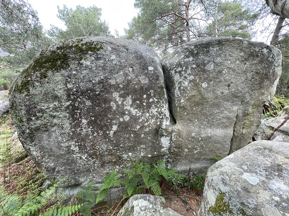 La Malchanceuse – Cuvier Nord