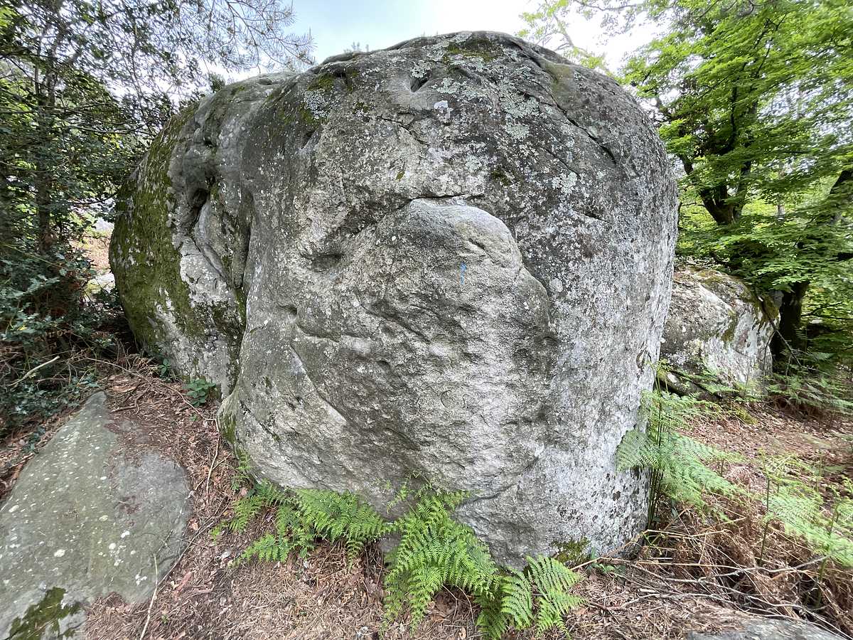 Le  Coupe Gorge – Cuvier Nord