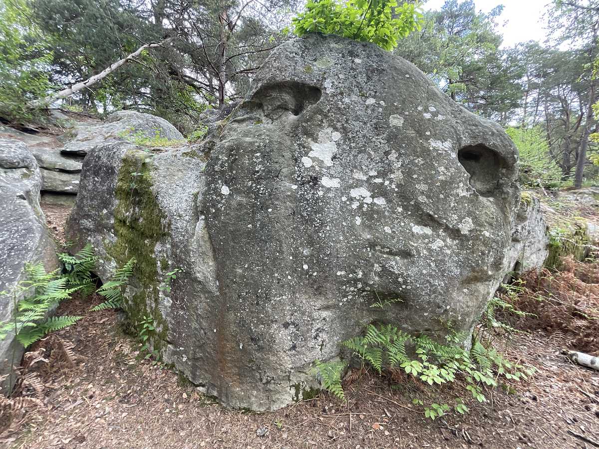 La Sécante – Cuvier Nord