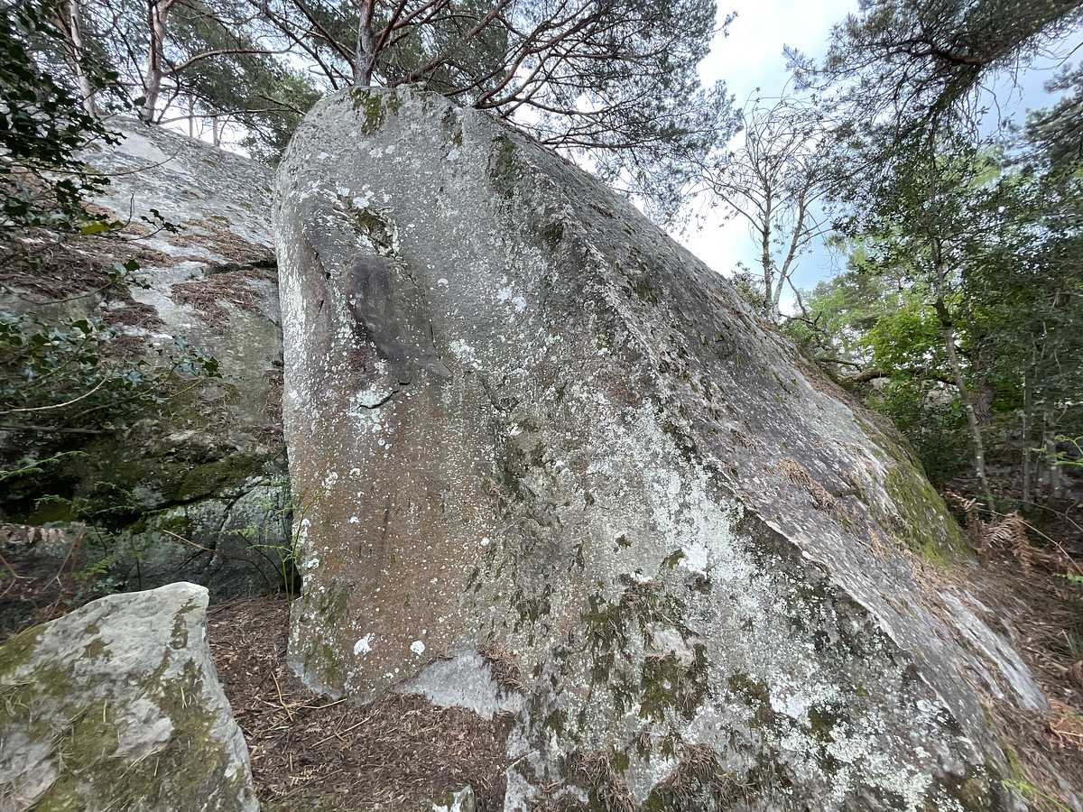 Le Dièdre Moussu – Cuvier Nord