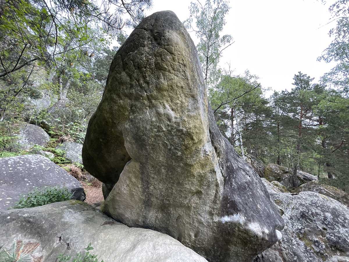Abraracourcix – Cuvier Nord