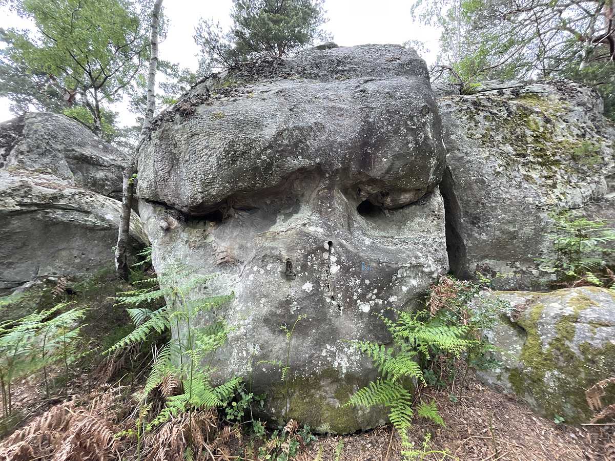 Le Culot – Cuvier Nord