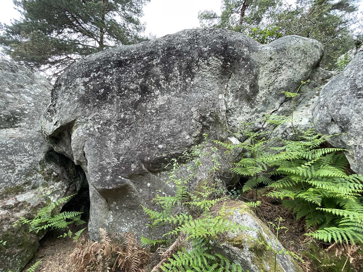 Extrapole – Cuvier Nord