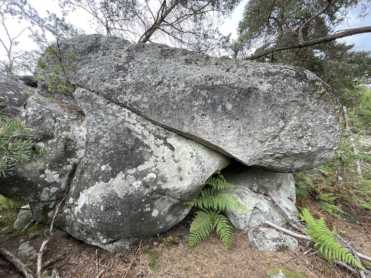 Le Rhinocéros – Cuvier Nord