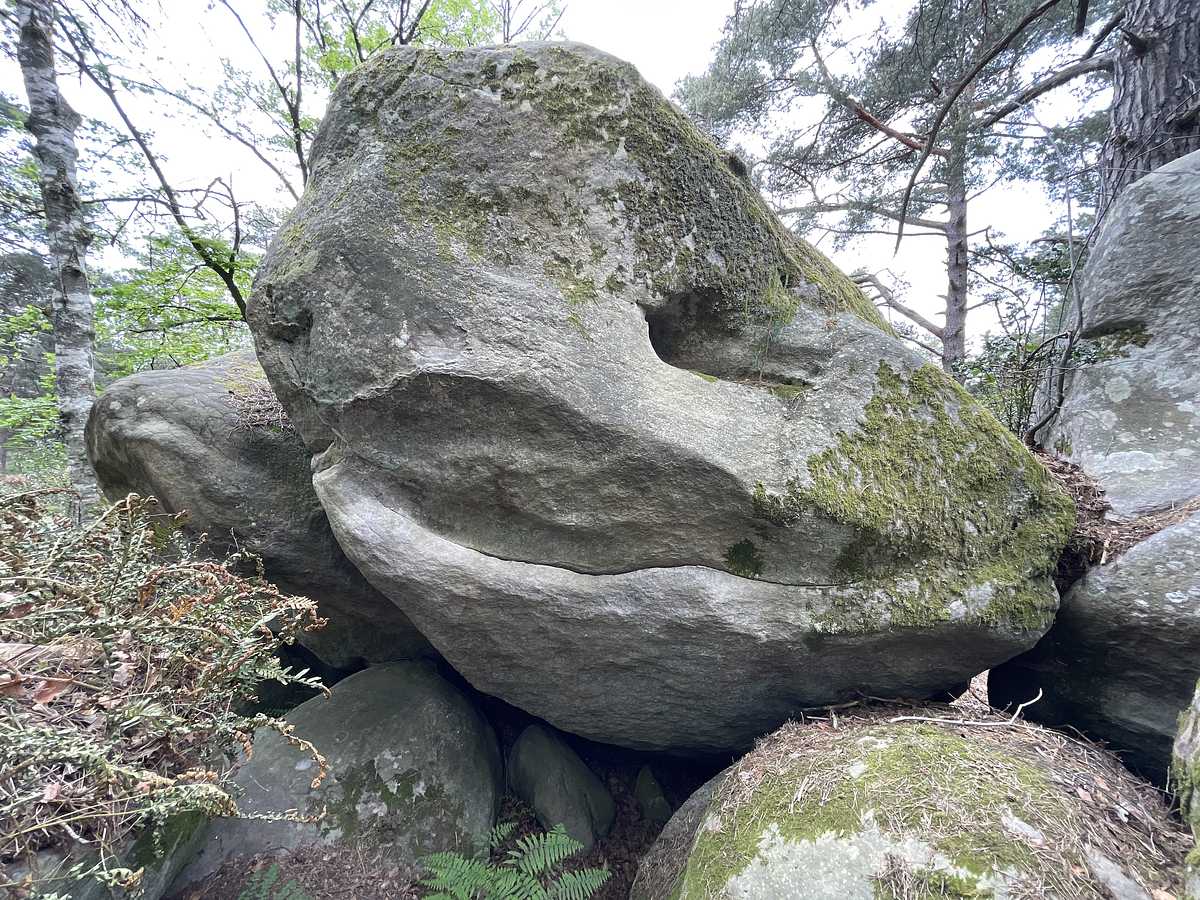 Photo du rocher avec les tracés