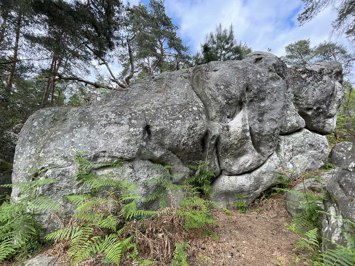 Photo du rocher avec les tracés