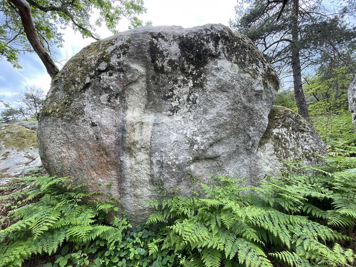 La Tonsure – Cuvier Ouest