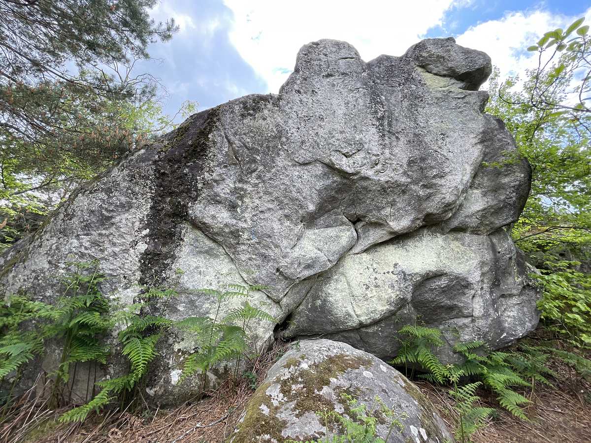 Image In – Cuvier Ouest