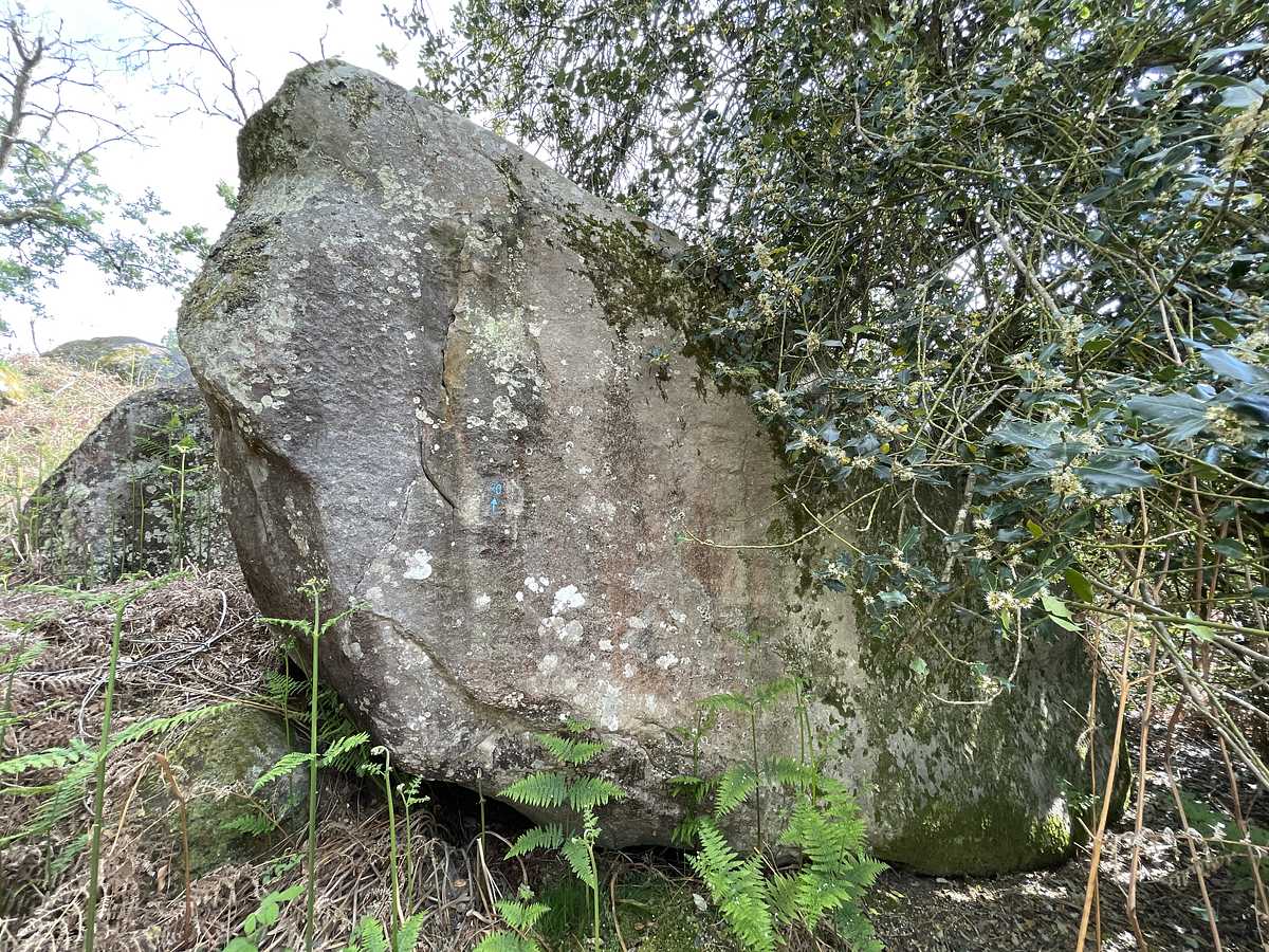 Circuit bleu n° 20 – Cuvier Ouest