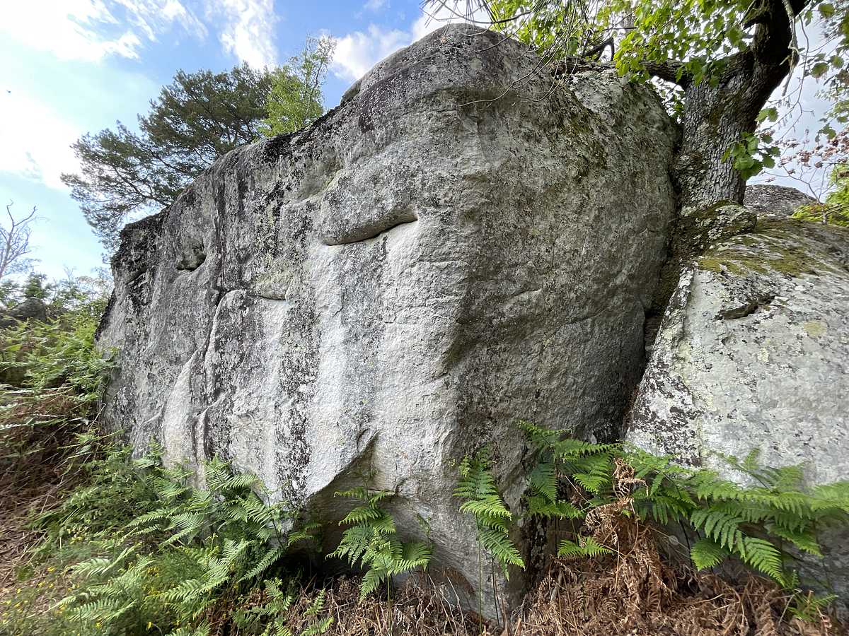 Le Vert Galant – Cuvier Ouest