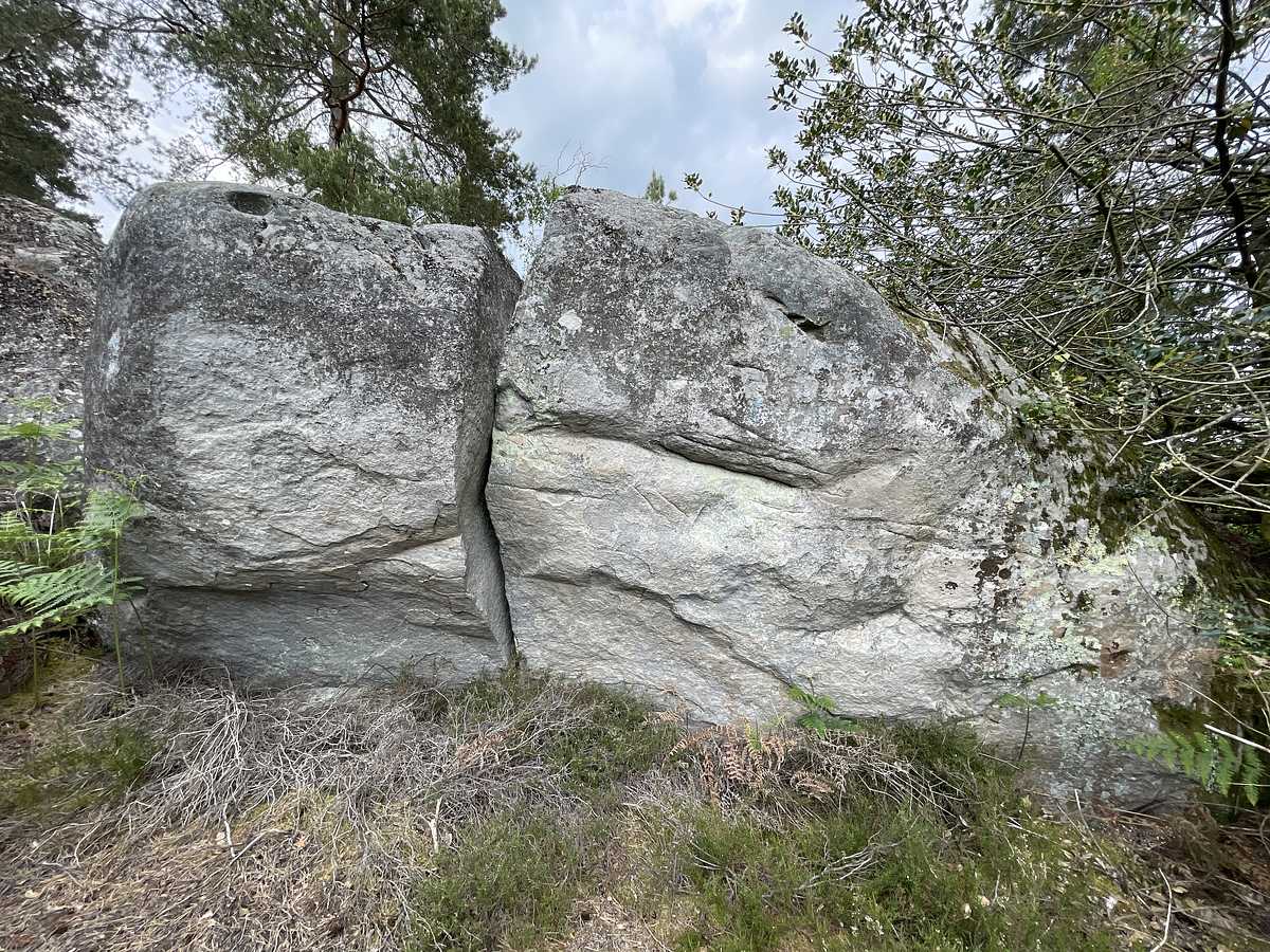 Circuit bleu n° 30 – Cuvier Ouest