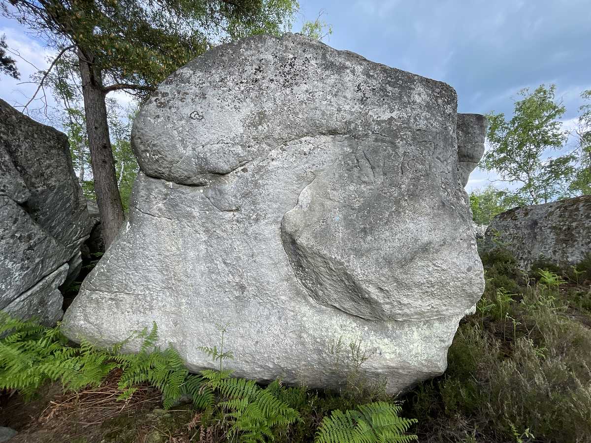 Circuit bleu n° 44 – Cuvier Ouest