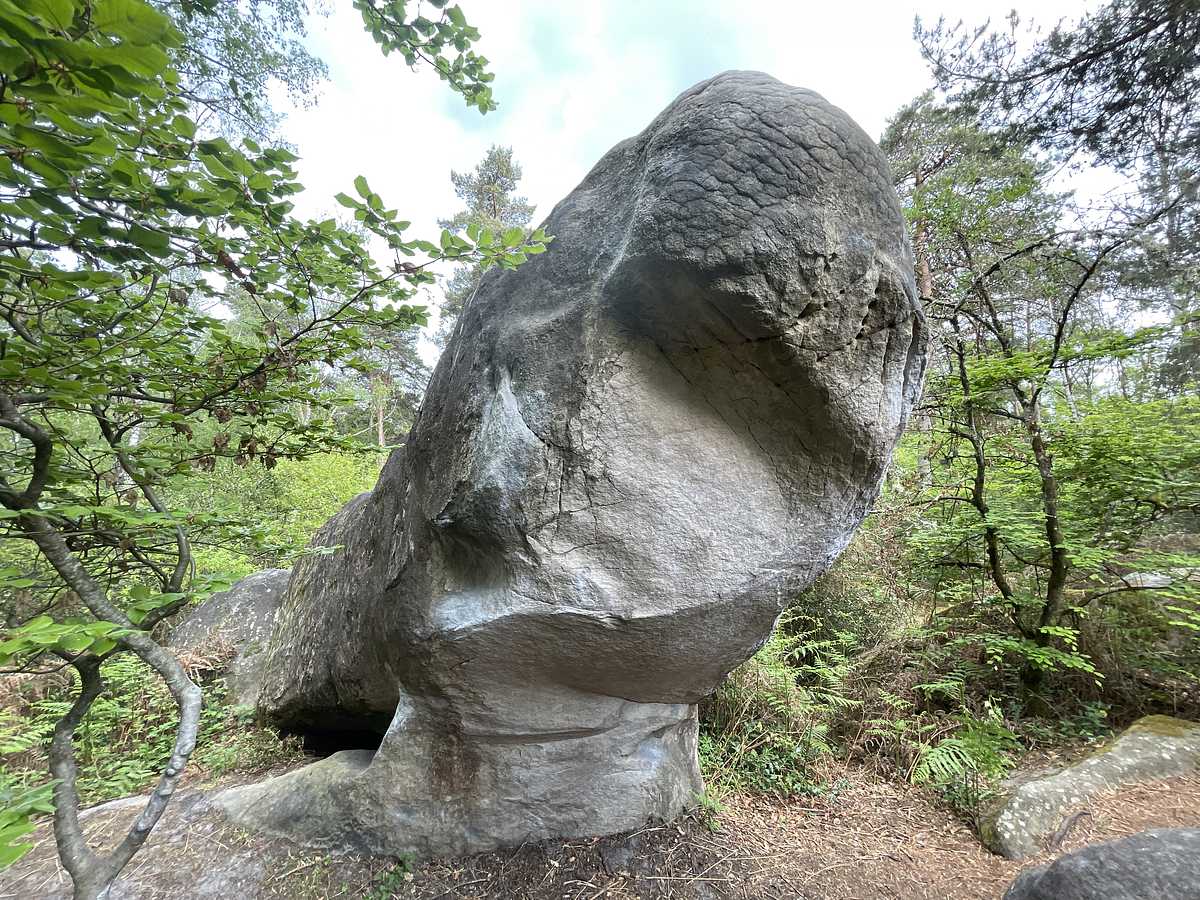 La Gaule – Secteur Cuvier Ouest