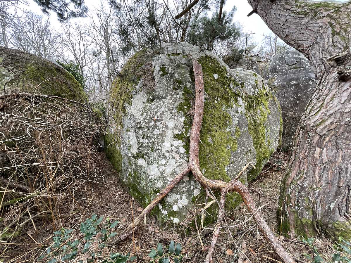 Photo du rocher avec les tracés