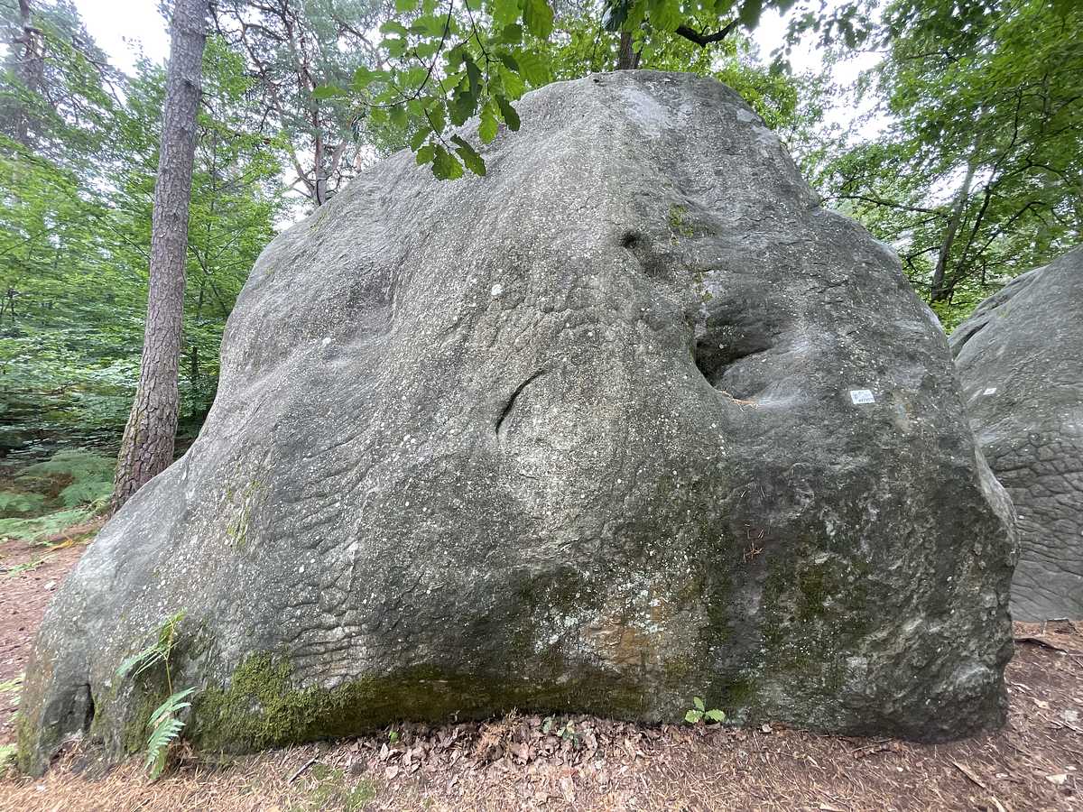 Photo du rocher avec les tracés