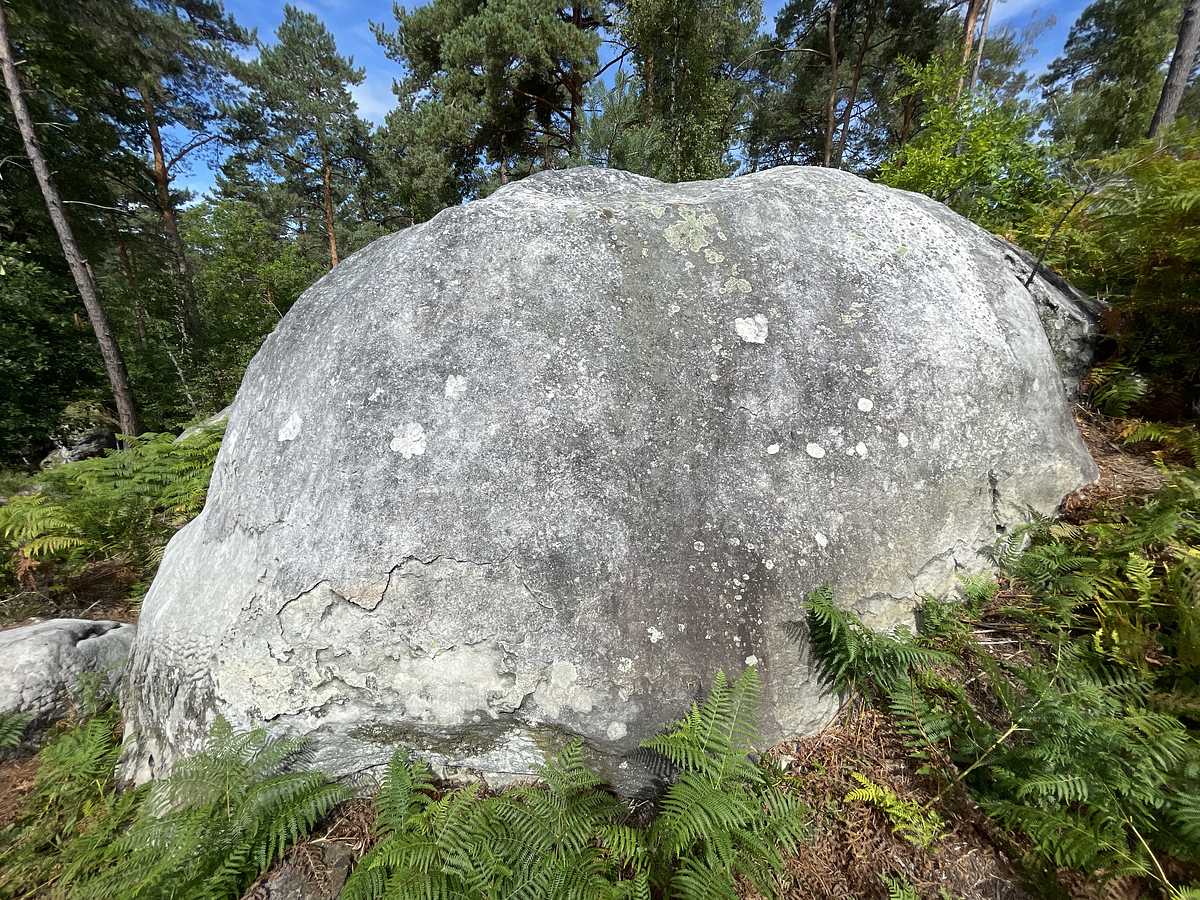 Photo du rocher avec les tracés