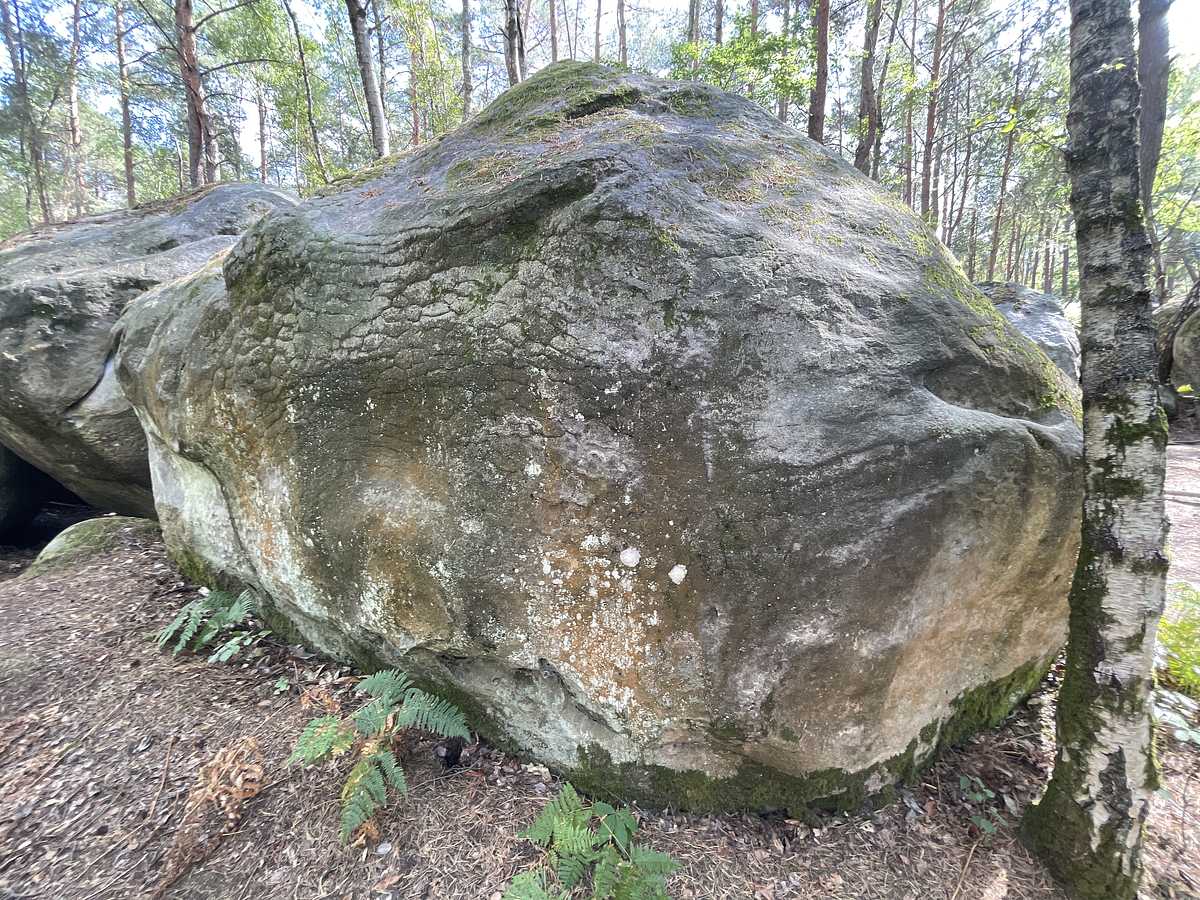 Photo du rocher avec les tracés