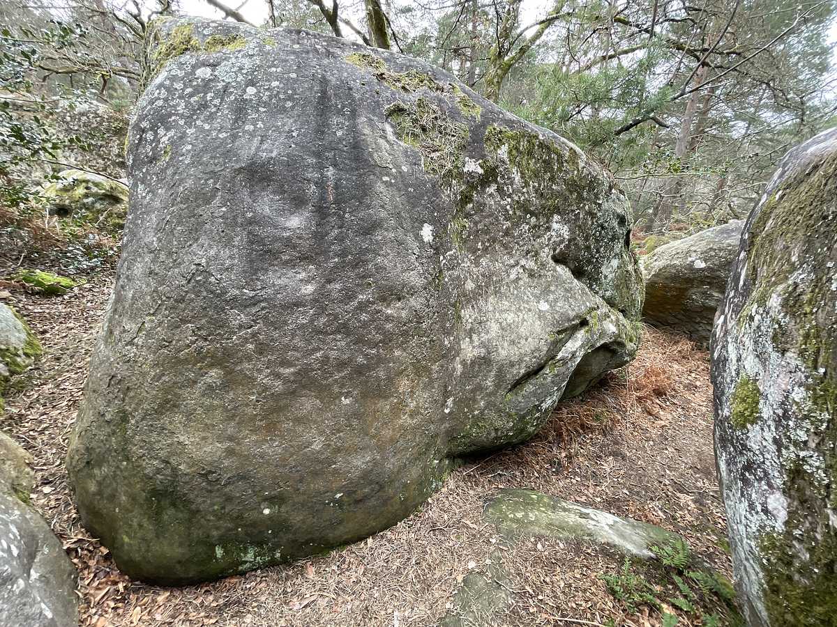 Le Petit Mur – Cuvier Nord