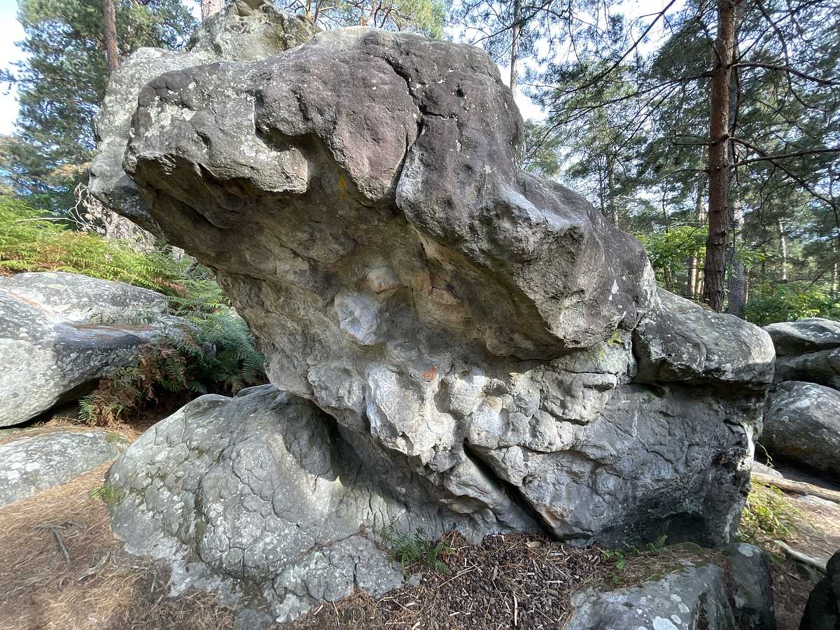 Le Champignon – Mont Ussy