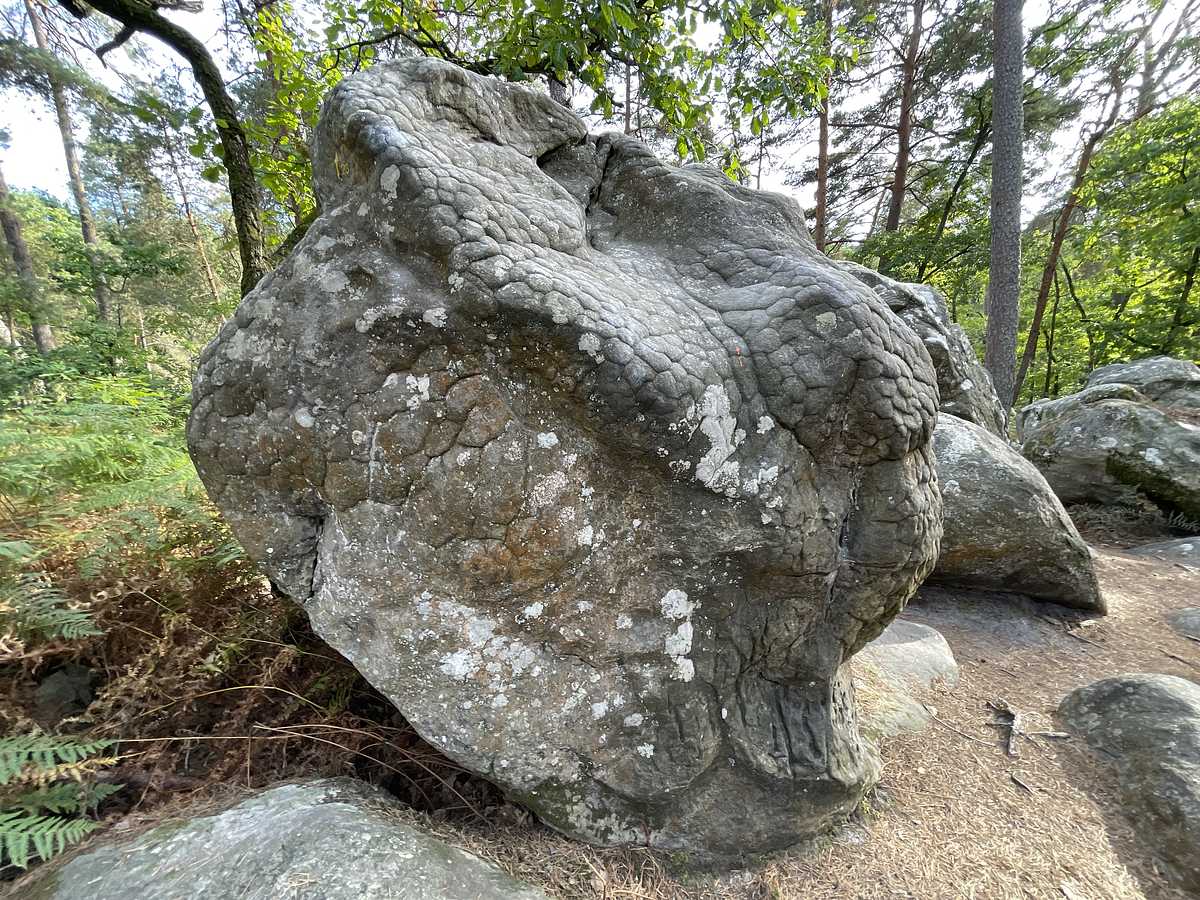 Le Mamelonné – Mont Ussy