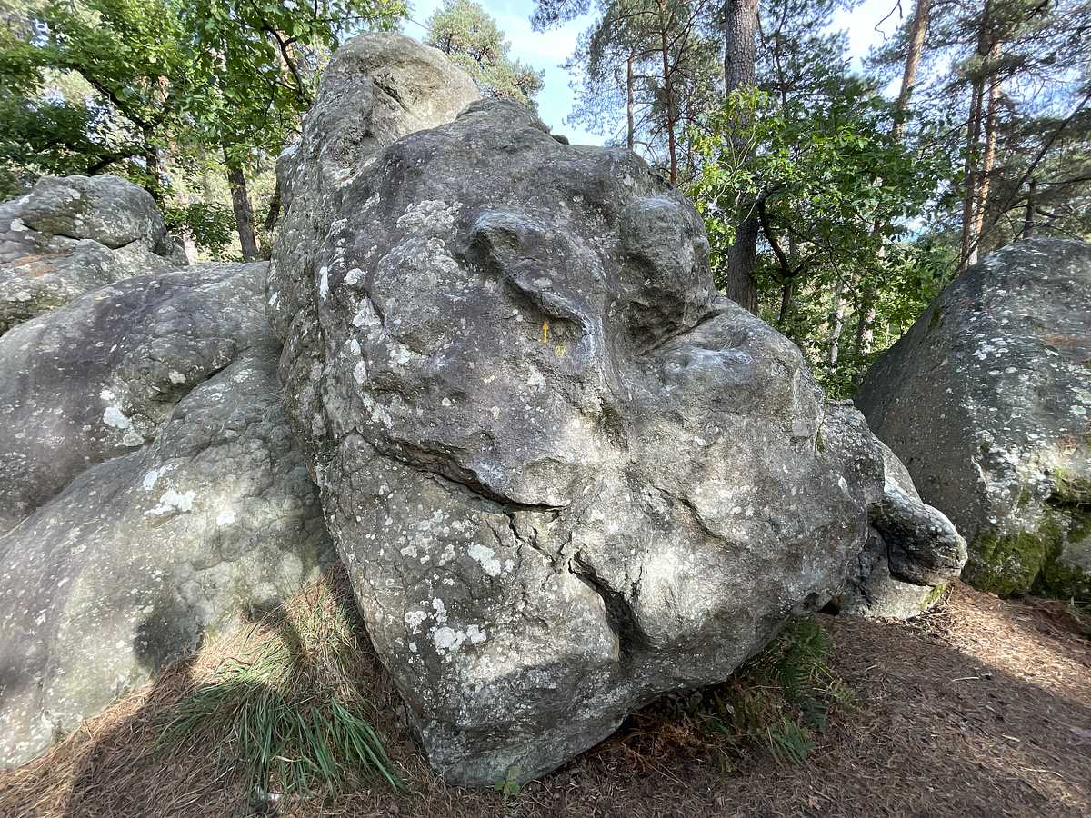 La Mal Placée – Mont Ussy