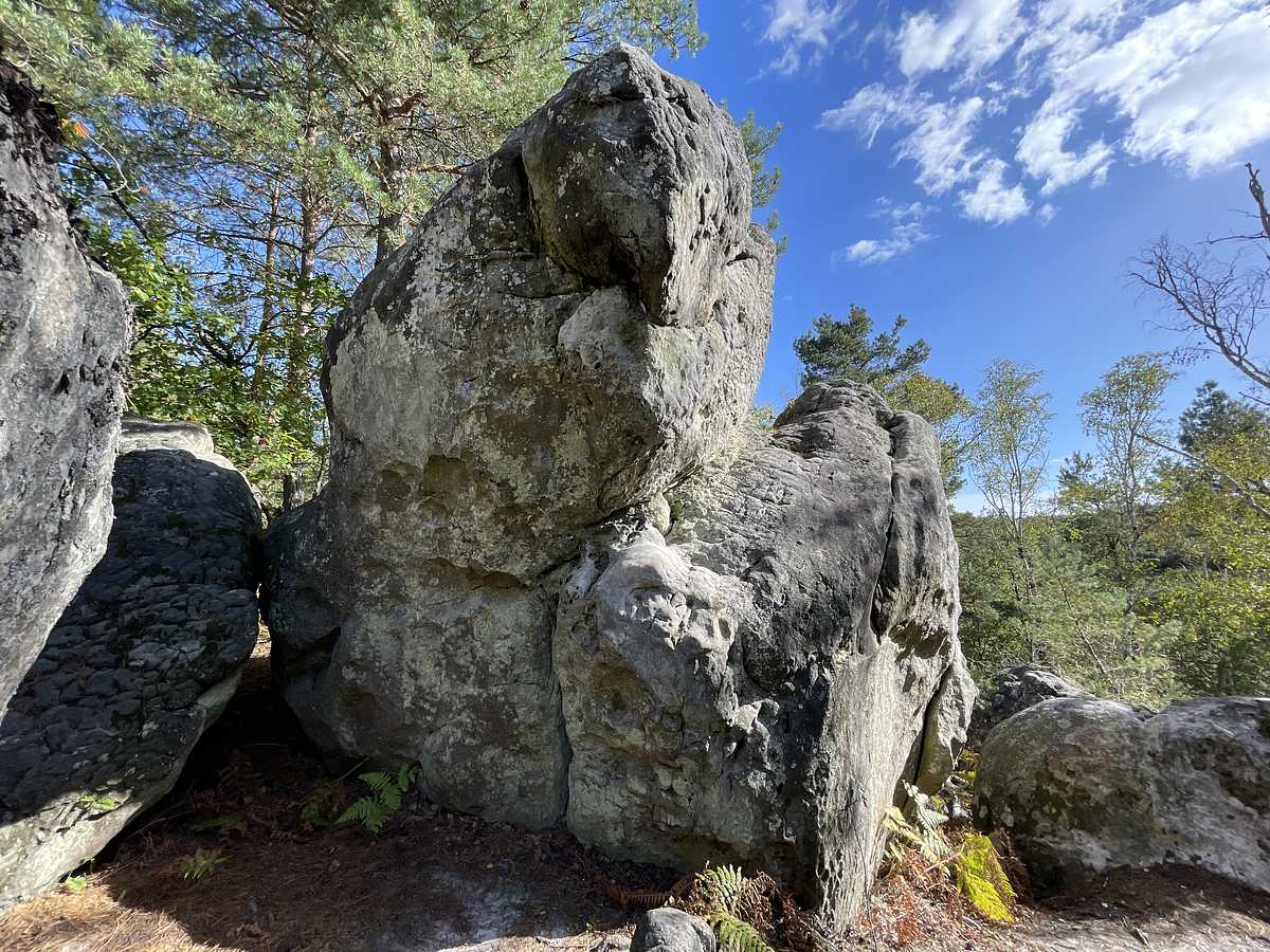 Le Suppositoire – Corne-Biche