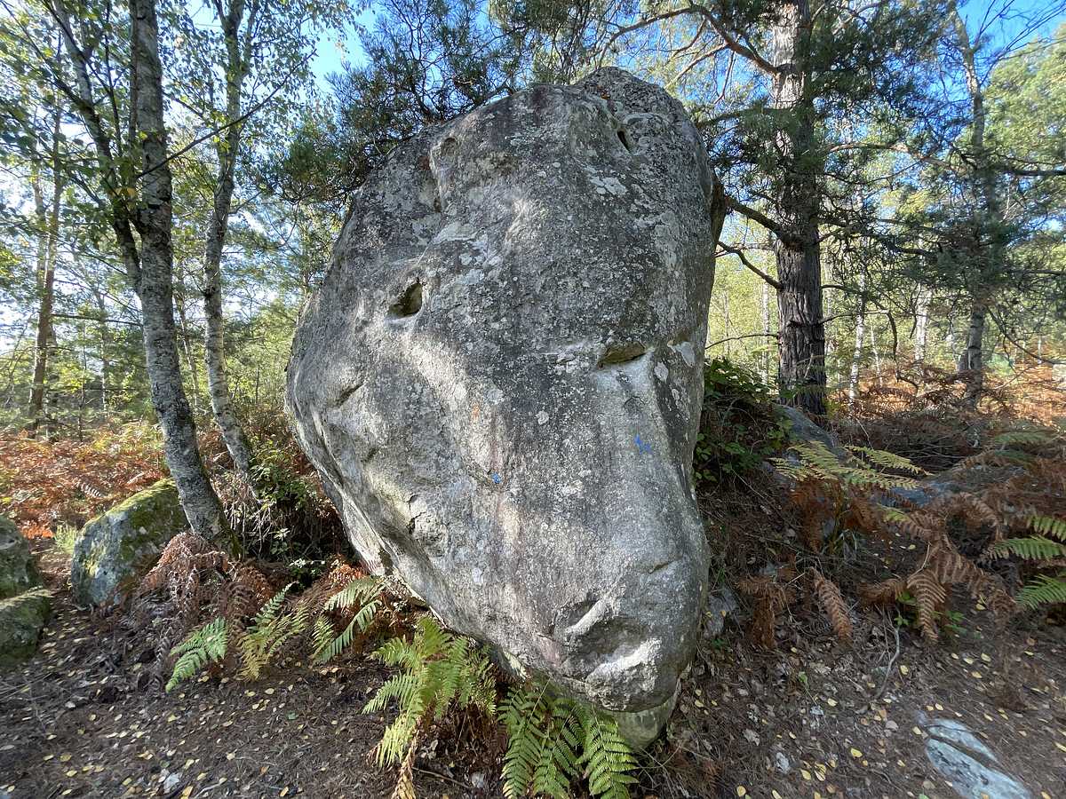 Le Nez – Corne-Biche