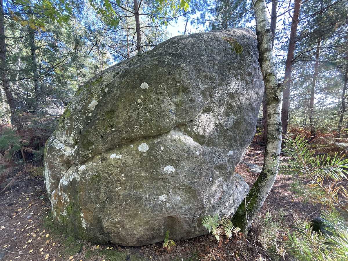 La Dalle Tranquille – Corne-Biche