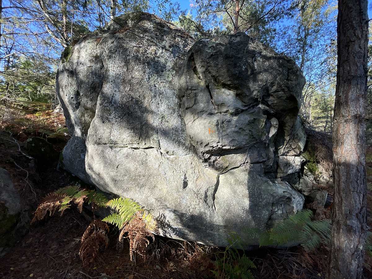 Le Détour – Corne-Biche