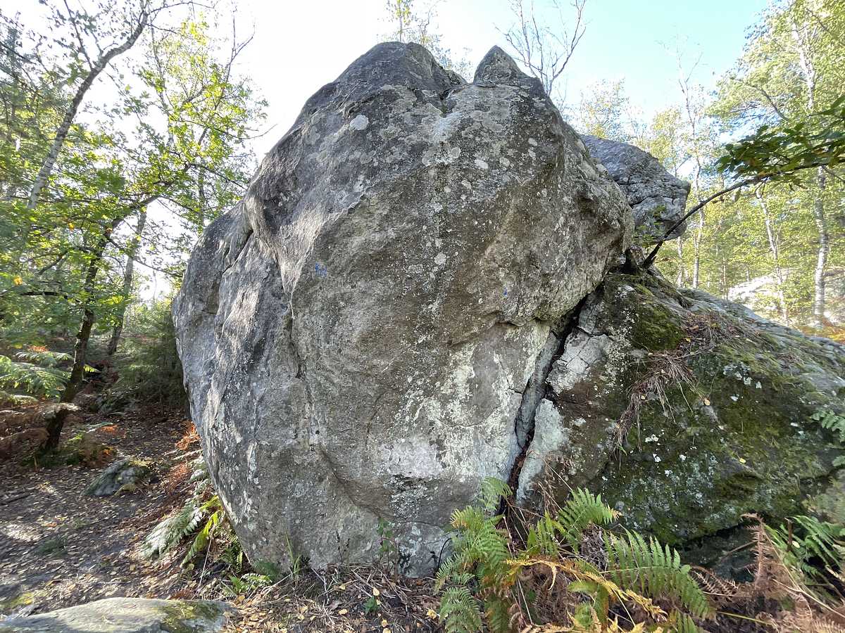Belle Frousse – Corne-Biche