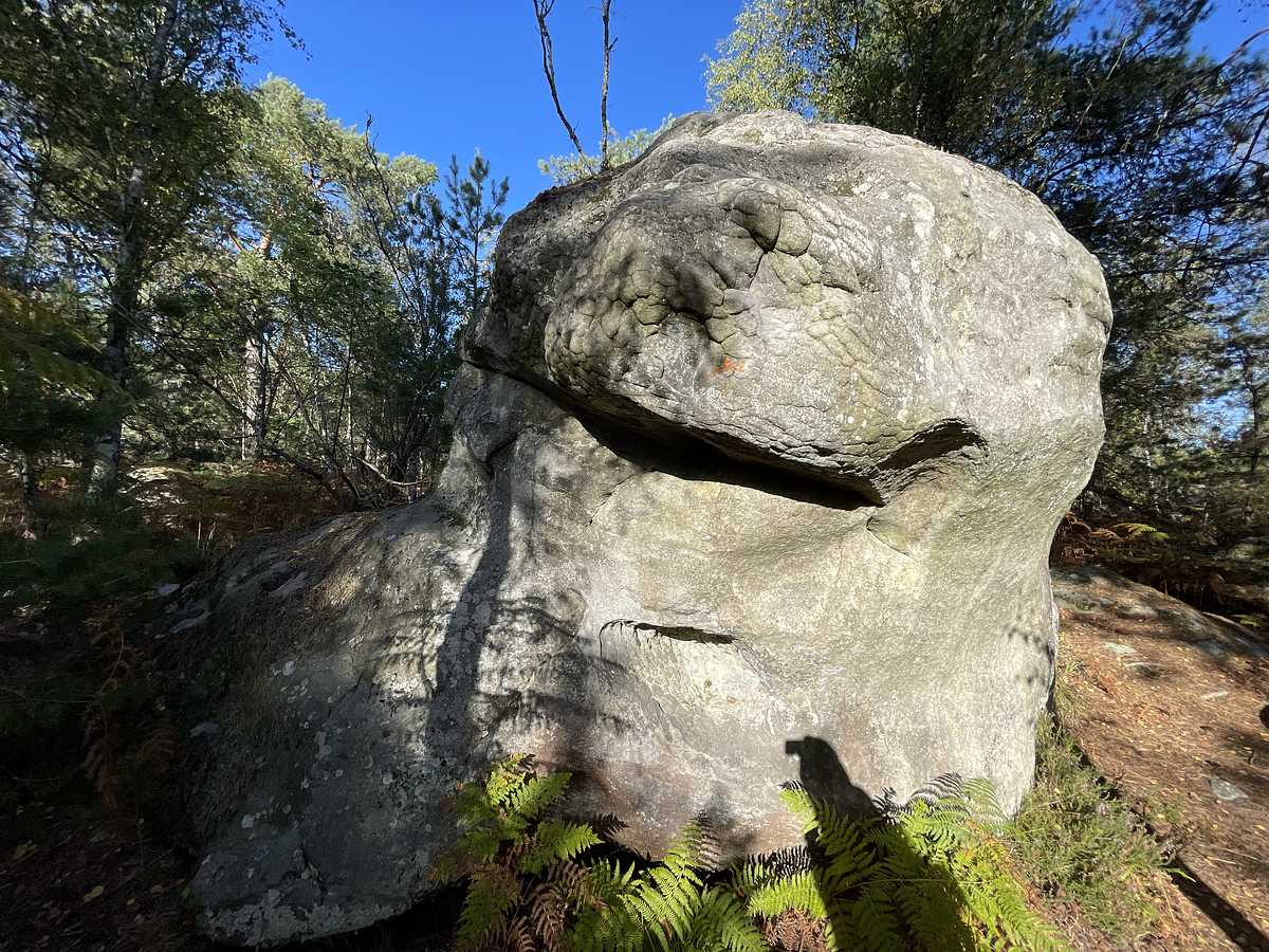 La Toutenbras – Corne-Biche