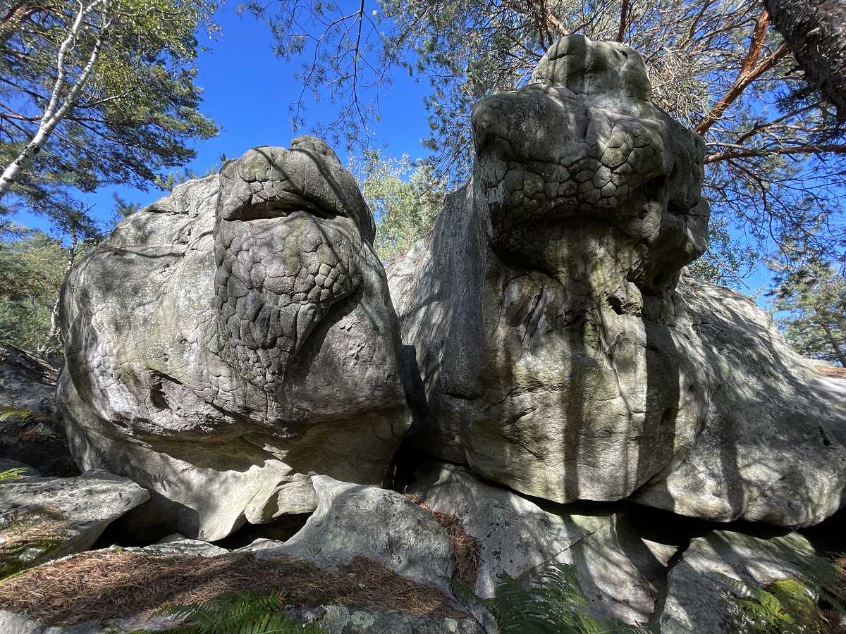 Le Pilier de la Peur – Corne-Biche