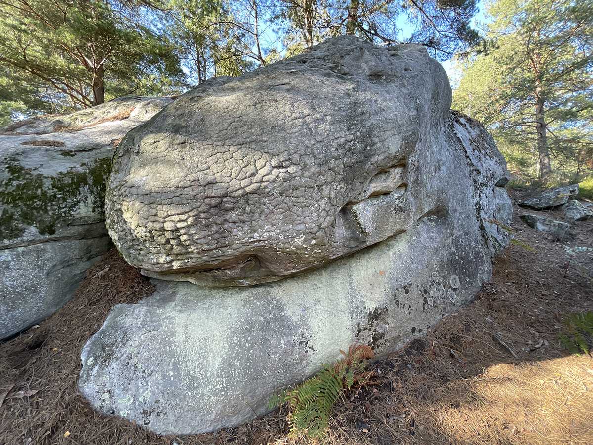 Le Gros Ventre – Corne-Biche