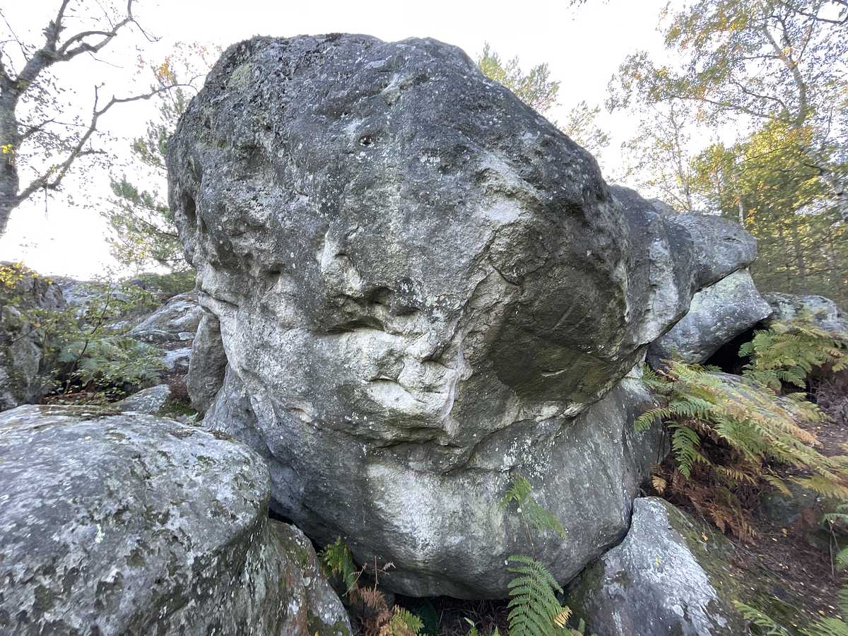 La Voie du Guerrier – Corne-Biche