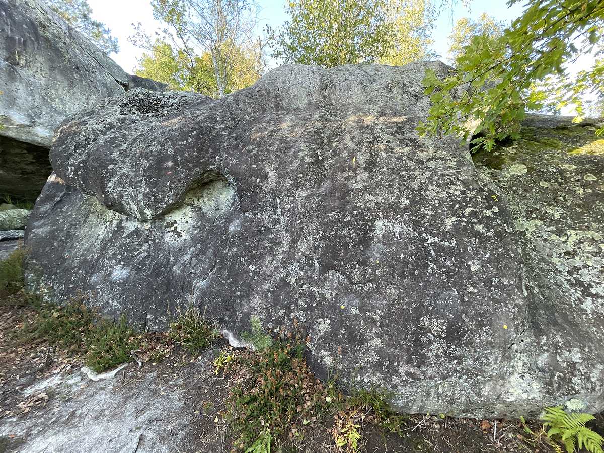 Circuit jaune n° 23 – Corne-Biche
