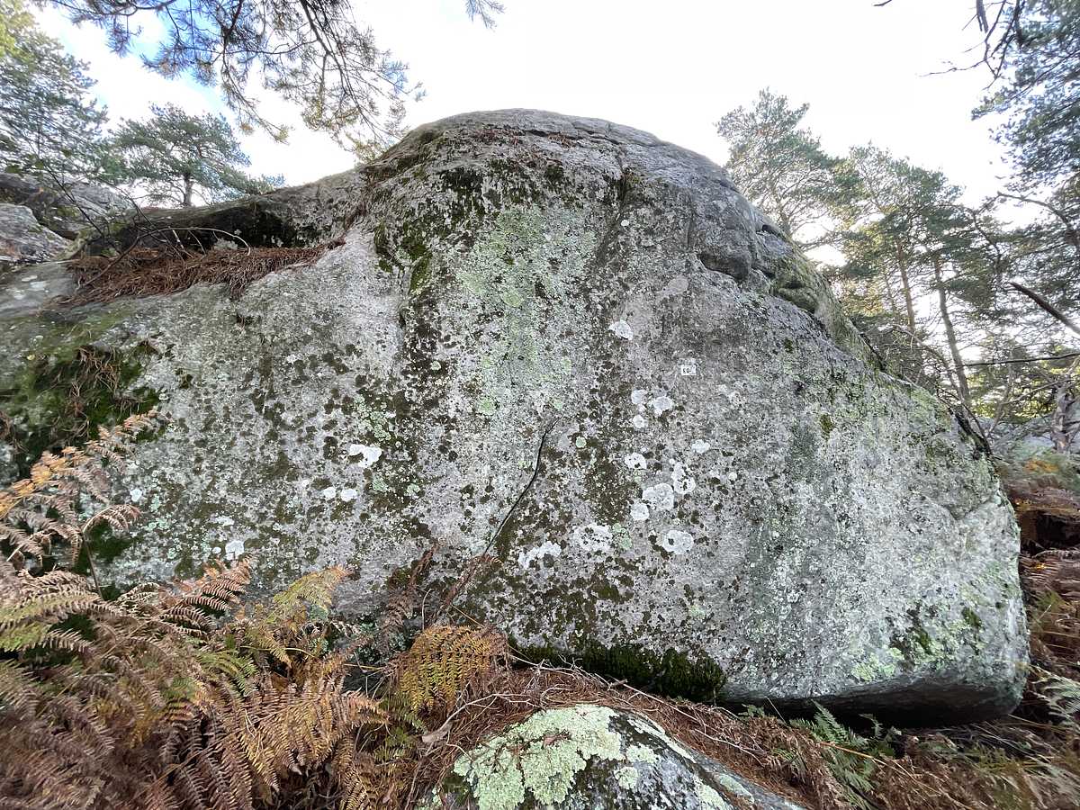 Le Mirador – Cuvier Rempart