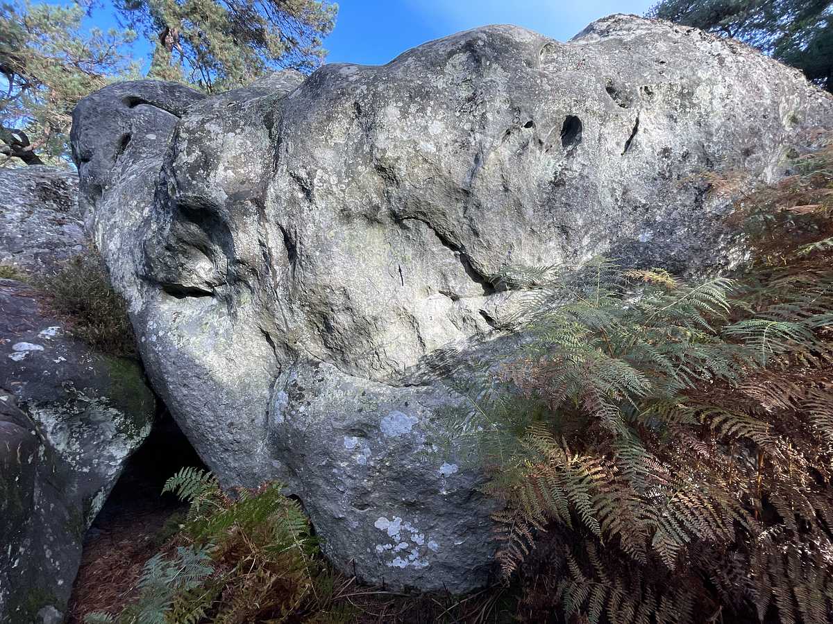 L'Imprévu – Cuvier Rempart