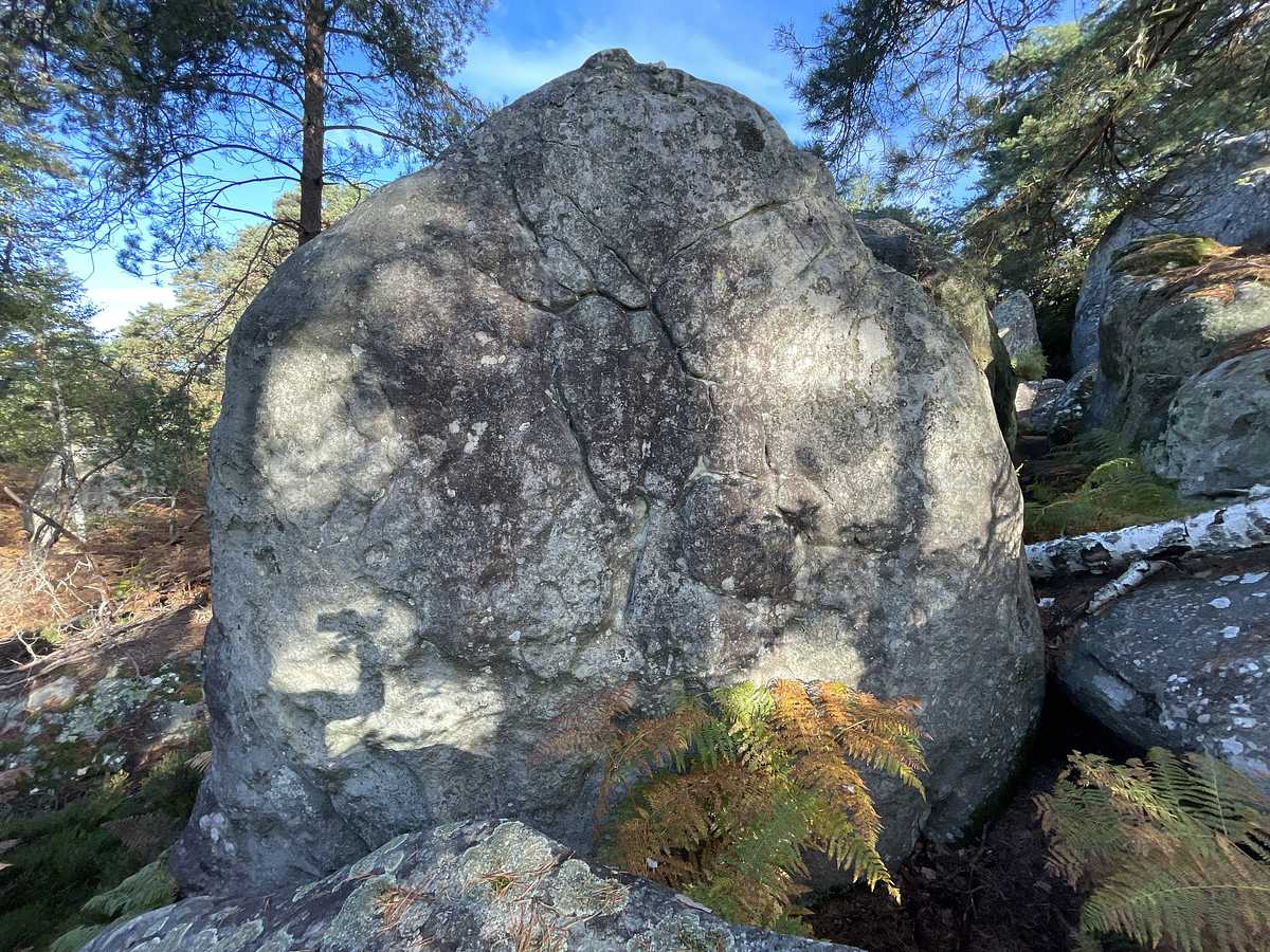 Repêchage – Cuvier Rempart