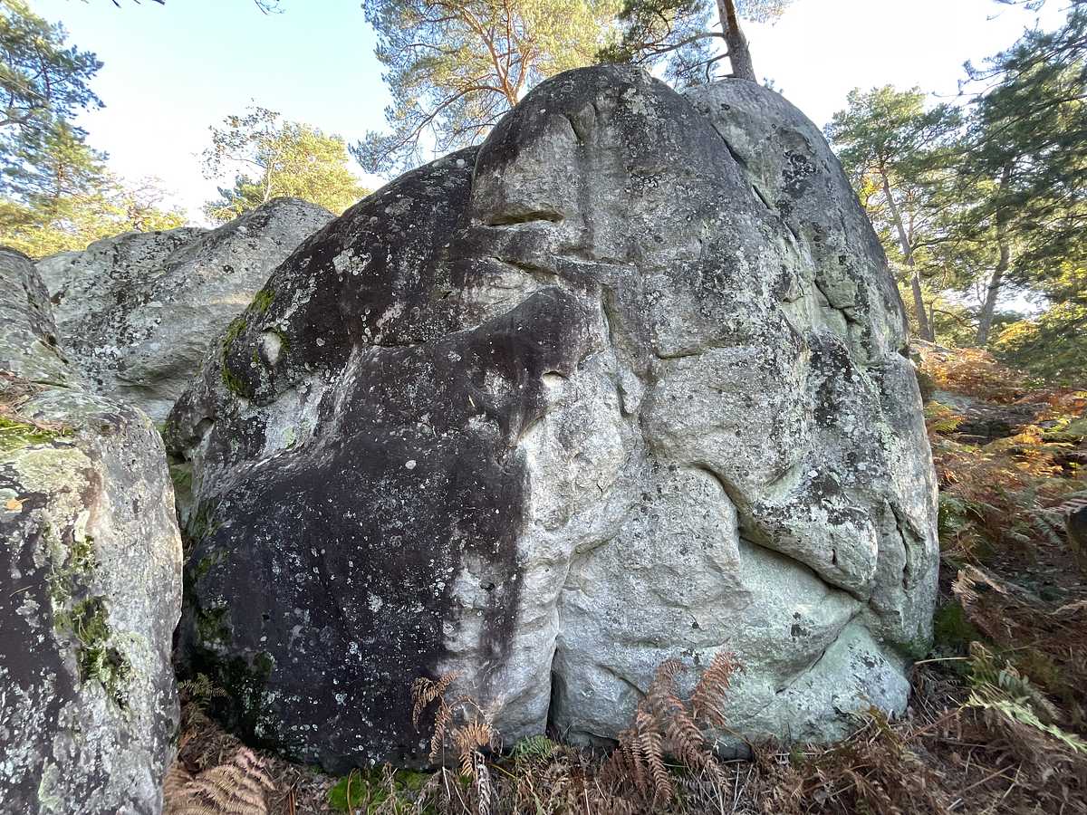 La Gouttière – Cuvier Rempart