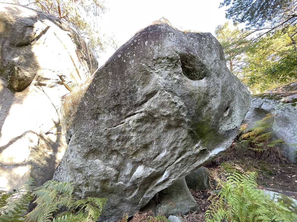Vieux Machin – Cuvier Rempart