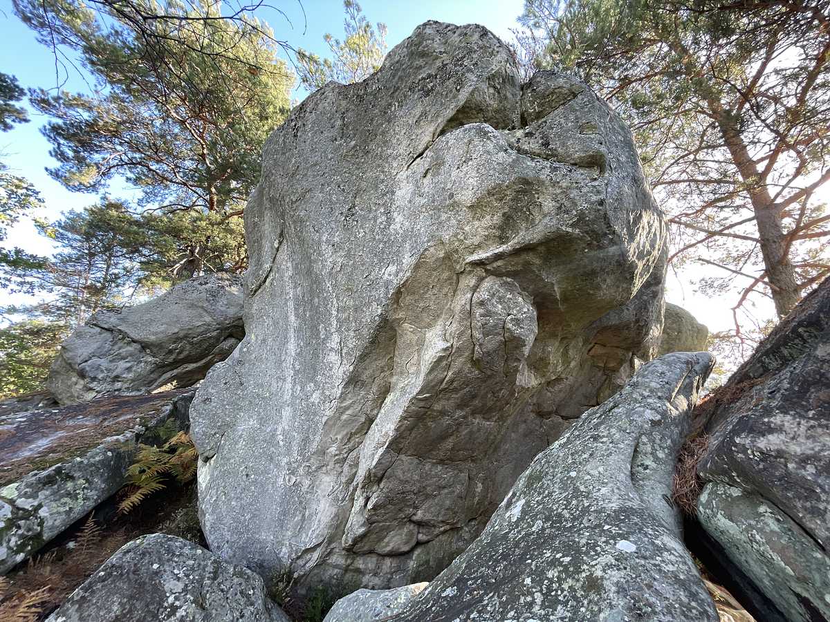 La Renfougne – Cuvier Rempart
